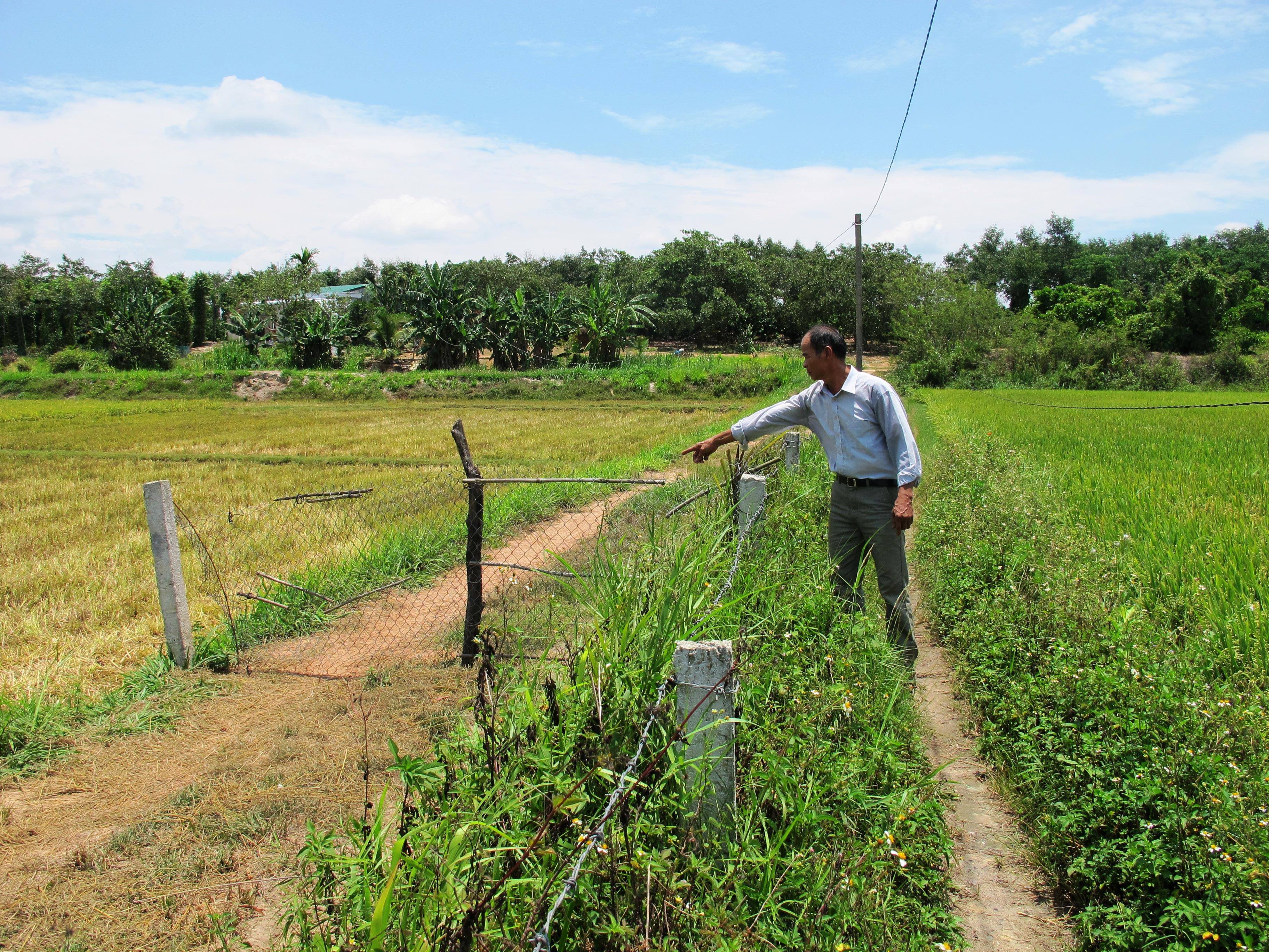 Hành vi “rào chiếm đường” phải được xử lý dứt điểm